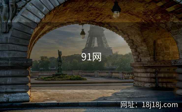91网