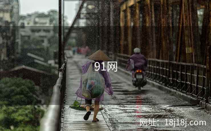 91网