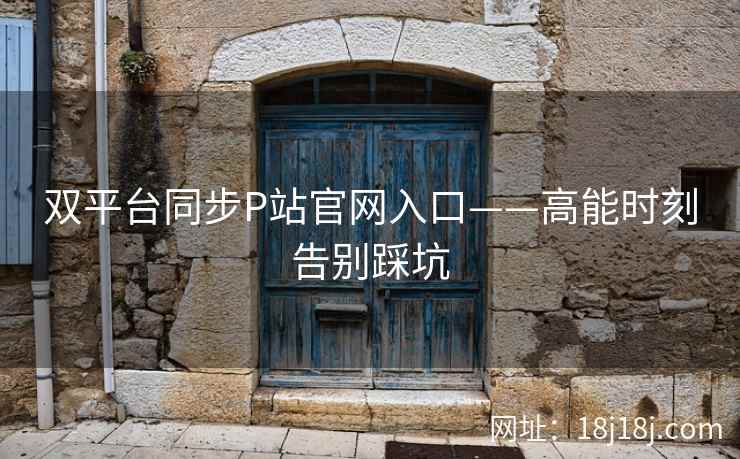 双平台同步P站官网入口——高能时刻告别踩坑