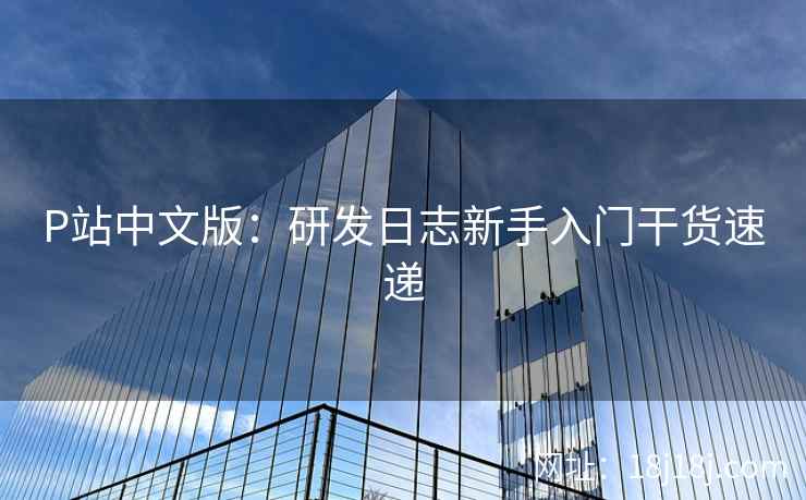 P站中文版：研发日志新手入门干货速递