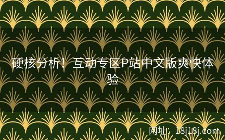 硬核分析！互动专区P站中文版爽快体验